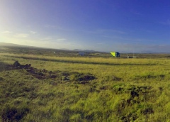 LKW der Trucking Service GmbH auf einer Landstraße